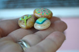 Cute Fridge Magnets, Hand Painted Rock, Mini Magnets, 3 Refrigerator Magnets