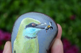 Bird Painted Rock, Hand Painted Stone, Bird Watching, Bird Art, Green Bee Eater, Bird Art