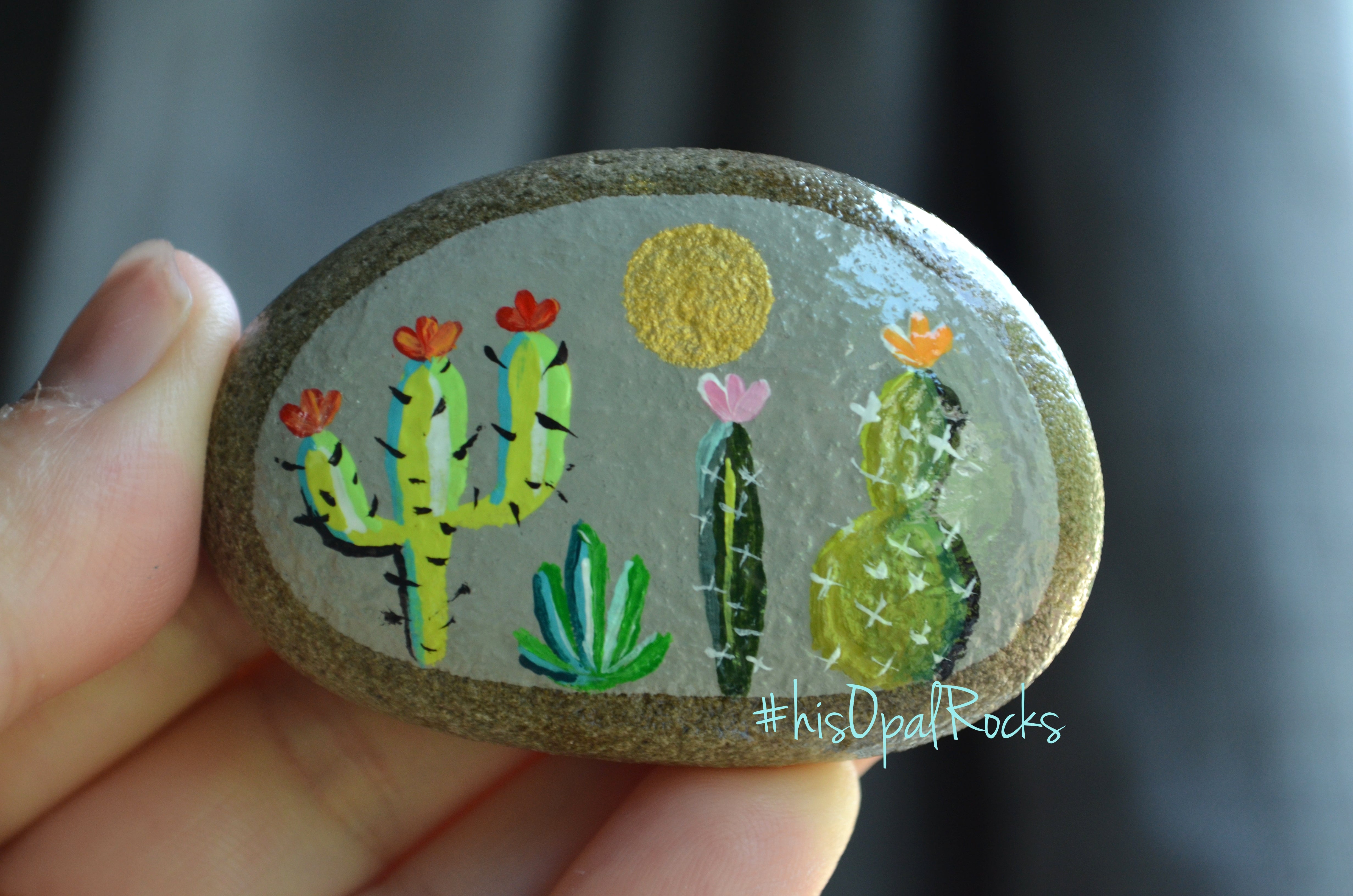 Rock painting ideas for beginners. Unique Cactus designs for painting on  rocks. Dessert design and cactus DI…