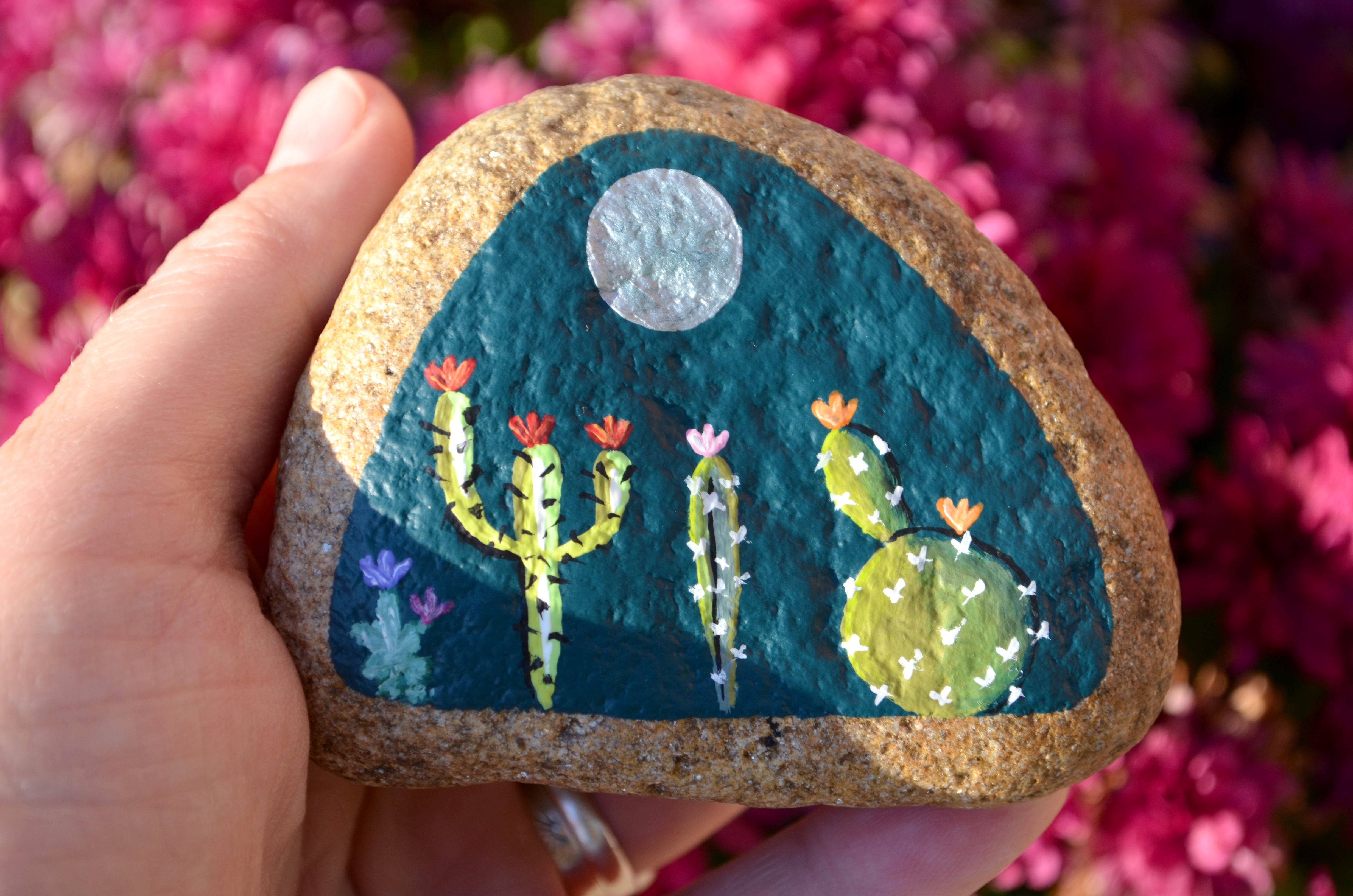 Rock painting ideas for beginners. Unique Cactus designs for painting on  rocks. Dessert design and cactus DI…